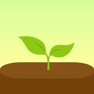 Forest اپلیکیشن ترک اعتیاد