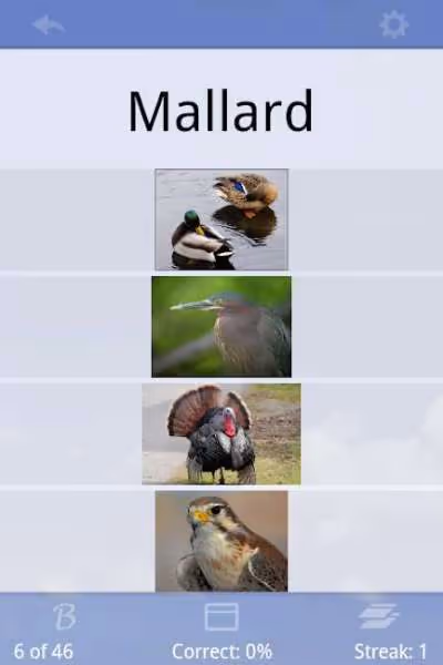 Flashcards Deluxe Full 2