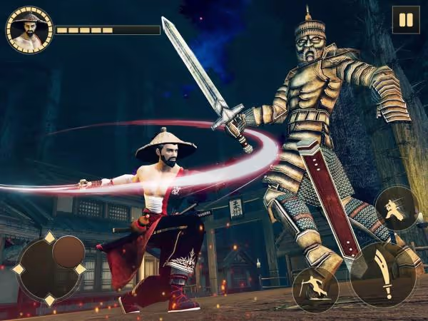 Shadow Ninja Warrior 2