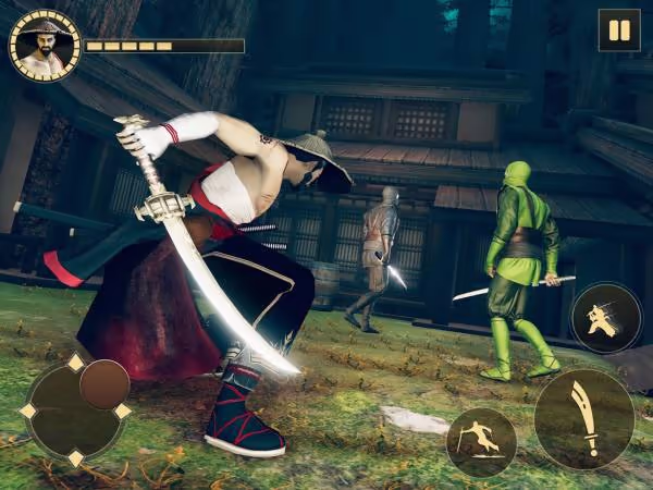 Shadow Ninja Warrior 3