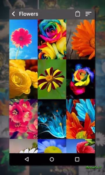 Gallery 2